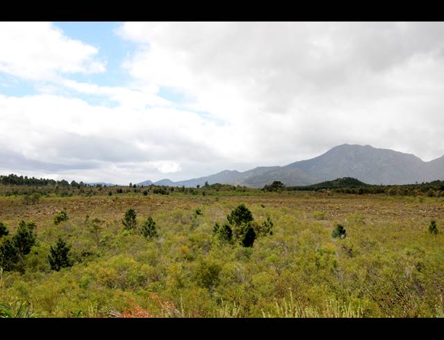 69HA FARM FOR SALE IN BOT RIVER